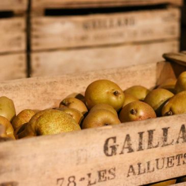 [Partenariat AMAP] 🍏🍐 Visite de la Maison Gaillard : un peu d’été indien et beaucoup de fruits !