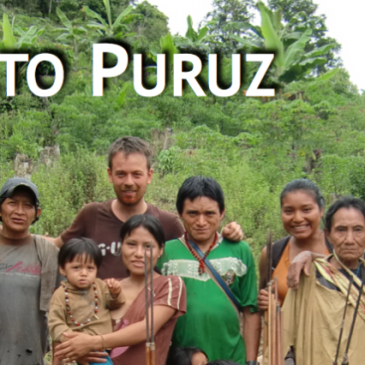 [Partenariat AMAP] ☕ Des nouvelles du Pérou et des producteurs d’Alto Puruz