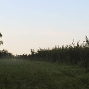 IMG_6121